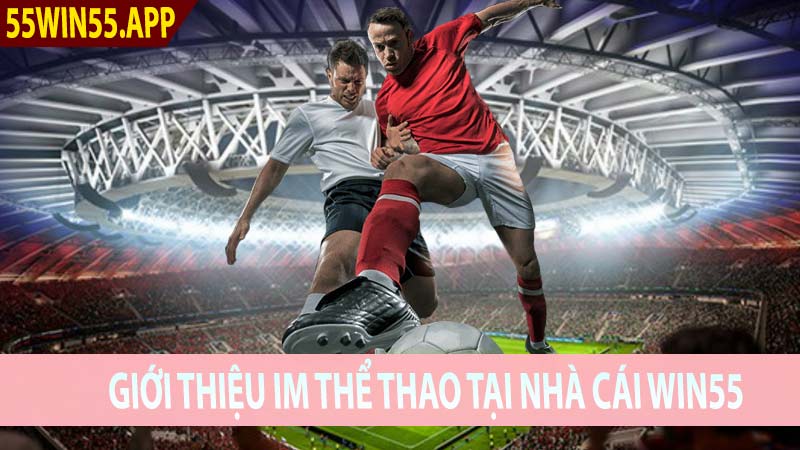 Cá Cược IM Thể Thao Tại Nhà Cái 55Win Trực Tuyến