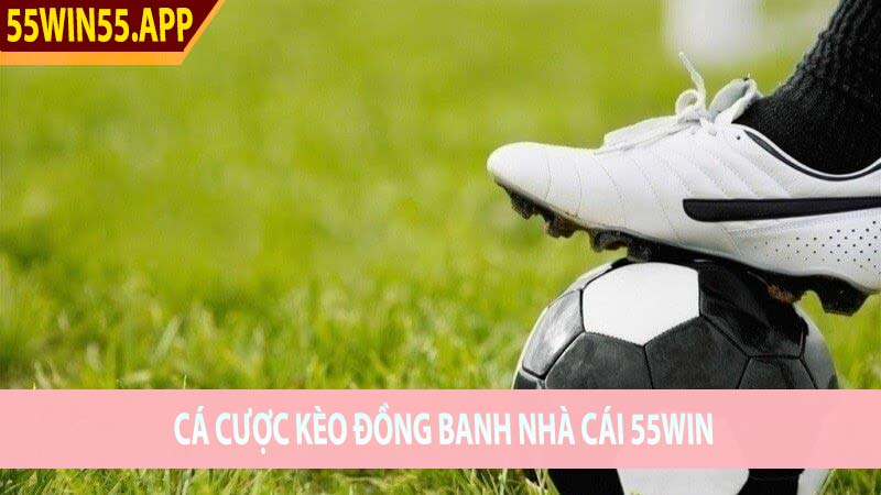 Cá Cược Kèo Đồng Banh Nhà Cái 55Win Trực Tuyến 2024