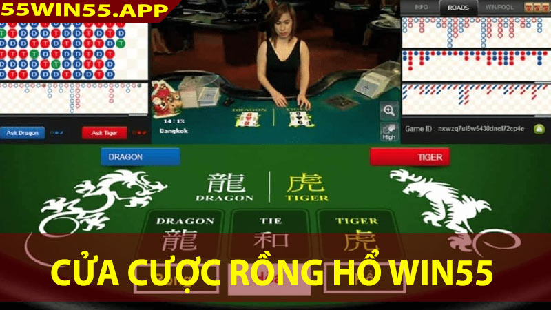 Các cửa cược có tại game Rồng Hổ Win55